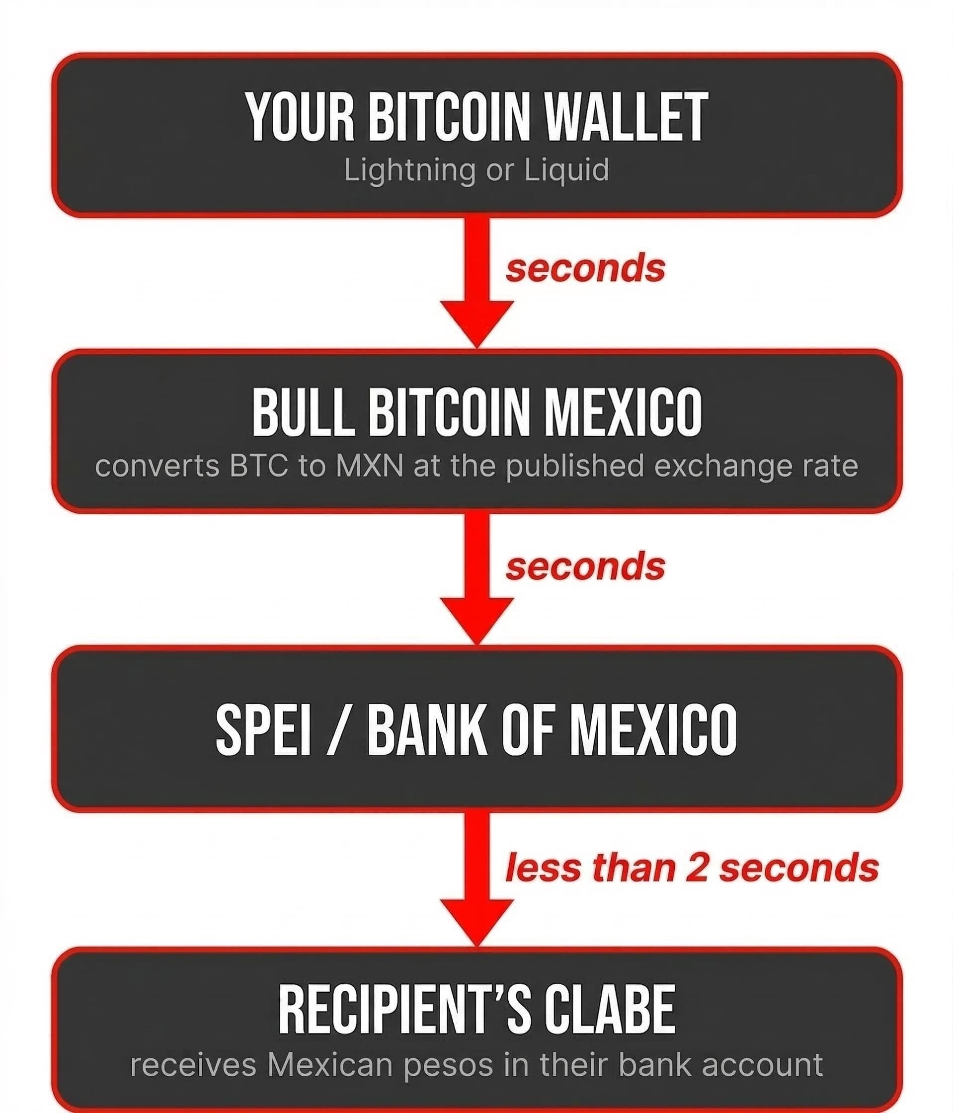 Bitcoin Payments in Mexico: How to Pay at Any Business